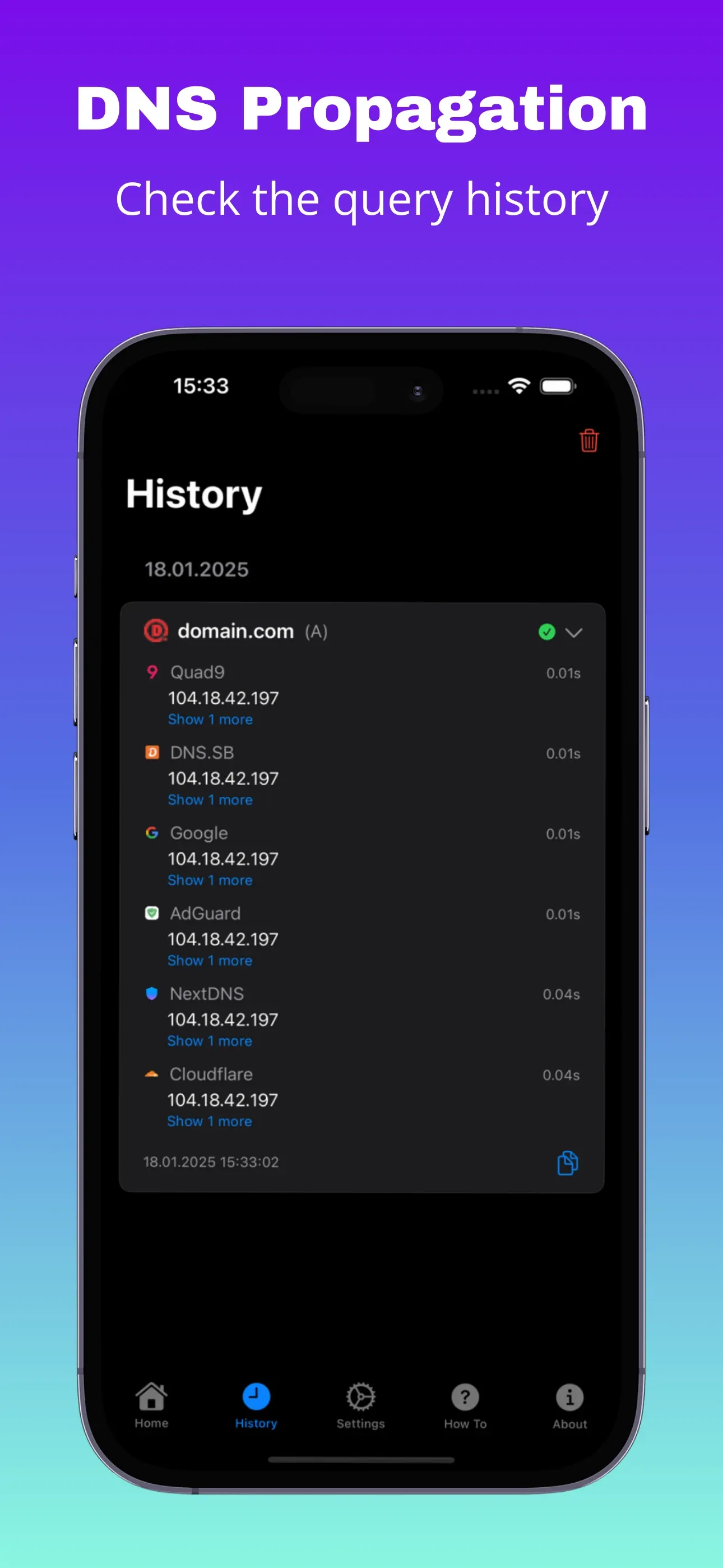 Query history list with domain favicons and check timestamps