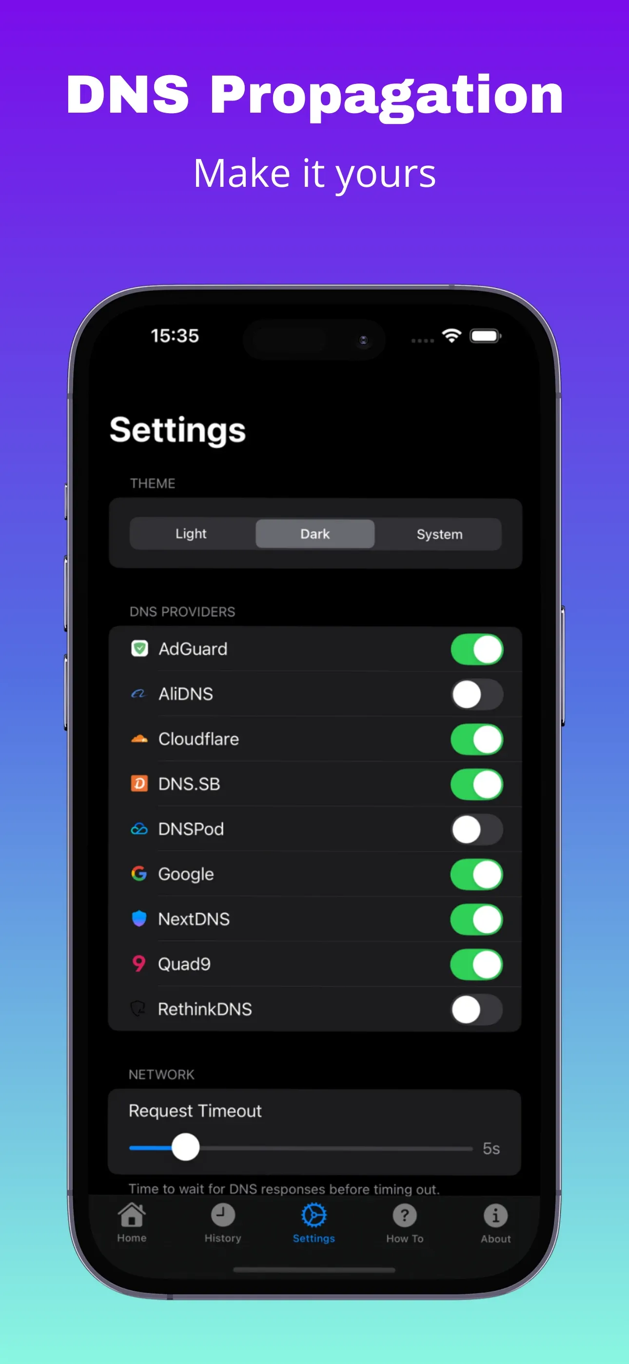 Settings screen with theme and DNS provider customization